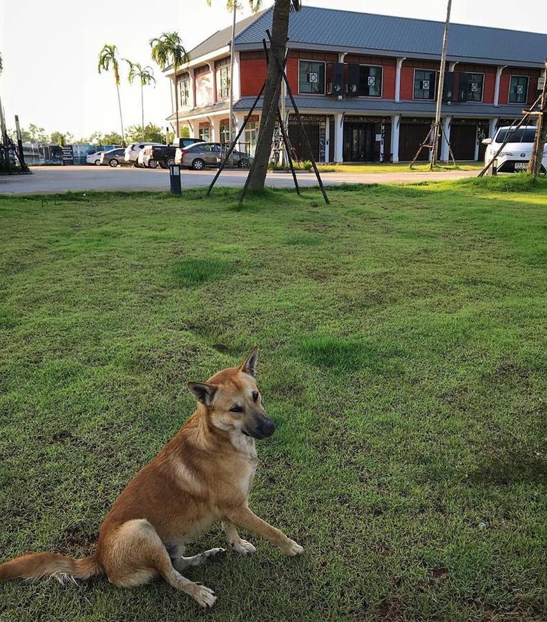 Barandbed Urt Vandrerhjem Surat Thani Eksteriør bilde